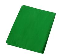Fondo fotográfico de poliéster verde de 200x150 cm.