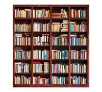 Fondo fotográfico de vinilo para bibliotecas, ideal para reuniones de Zoom, decoración de interiores del hogar. Fondo autoadhesivo de PVC 3D con