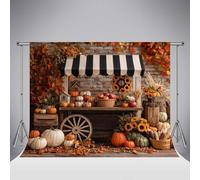 Fondo fotográfico Kate Fall Pumpkin de 10x6.5ft/3x2m Estilo rústico de Granja otoñal Ideal para Fotos Familiares y de niños Fotos de otoño con Girasoles y Hojas caídas Sesión de Fotos para Fiestas