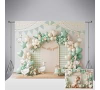 Fondo Kate One Silly Goose de 10x8ft/3x2 5m con Arco de Globos de Margaritas Verde Salvia y Fondo de Fotos a Cuadros para Baby Shower cumpleaños Infantil sesión de Fotos y para Estudio