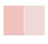 Fondo rosa claro, croma de color sólido para sesión de fotos profesional, artesanía exquisita que garantiza durabilidad, ligero y portátil para