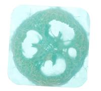 FONDOTIN Jabón Artesanal con Lufa Barra Natural para Manos y Cuerpo Limpieza Profunda y Masaje Suave para Ducha y Cuidado