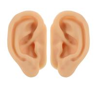 FONDOTIN Modelo De Oreja Falsa Modelo De Anatomía De La Oreja De Silicona