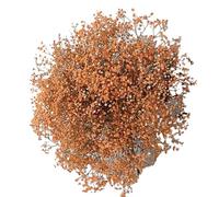 FonHNDG Ramas de Flores Artificiales Flores Artificiales Ramos de Flores for decoración Bodas(Orange,150g)