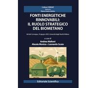 Fonti energetiche rinnovabili: il ruolo strategico del biometano. Atti del Convegno, 19 giugno 2025,Università degli Studi di Milano
