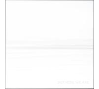 Foo Fighters - But Here We Are [Vinilo]