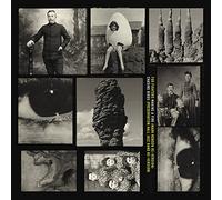 Foo Fighters - Making A Fire [Vinilo]