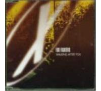Foo Fighters – Walking After You – CD – Importación USA