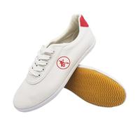 Fooceoute Zapatos De Tai Chi,Karate Taekwondo Calzado,Karate Kungfu Taichi Zapatos,Artes Marciales Zapatilla De Boxeo,Suaves,Antideslizante,Ligero,para Tai Chi Wu Shu Kung Fu Taekwondo