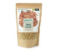 FOORGANIC Harina de Trigo Sarraceno Ecológica Foorganic 500g | Alternativa Sin Gluten | Sin Aditivos | Producido en España | Vegano