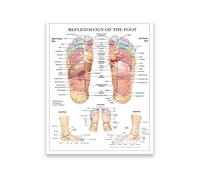 Foot Chart Canvas Poster Human Body Acupressure Points Anatomy Art for Clinic Office Home Wall Decor Educational Reference(Unframed,08X12inch(20X30cm))