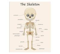 FOPURE Biology Classroom Decor - Human Skeleton Anatomy Chart Poster, Science Teacher Gift & Educational Art for Home or School(Framed,08x12inch(20x30cm))