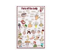FOPURE Child Friendly Parts of the Body Poster for Nursery Playroom School Classroom Home Decor Vibrant Wall-Art Learning Tool(Unframed,12x18inch(30x45cm))