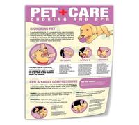 FOPURE Dog First Aid Chart Set of 2 CPR and Airway Obstruction Posters Quick Reference Guide for Pet Owner Education(Unframed,16x24inch(40x60cm))