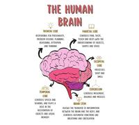 FOPURE Educational Psychology Poster - Human Brain Anatomy & Mental Health Chart, Counselor Office Wall Decor & Conversation Starter(Unframed,08x12inch(20x30cm))
