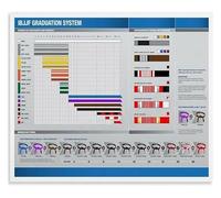 FOPURE Martial Arts Belt Ranking Poster All Levels BJJ Karate Taekwondo Canvas Wall-Art for Fight Gym Dojo Training Room Wall Decor(Framed,08x12inch(20x30cm))