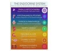 FOPURE Metaphysical Anatomy Poster Exploring the Endocrine System and Inner Concept Art Wall Canvas(Framed,16x24inch(40x60cm))