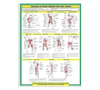FOPURE Modern Art Print | Clean Diagram of Key Muscle Groups Used in the Swing | Framed Poster for Contemporary Home Office or Clubhouse Decor(Unframed,12x18inch(30x45cm))