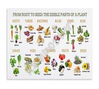FOPURE Plant Based Diet Educational Poster From Root to Seed All Edible Parts Chart Nature Wall-Art for Kitchen Living Room(Framed,08x12inch(20x30cm))