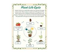 FOPURE Plant Life Cycle Biology Poster Science Educational Chart for School Classroom Home Wall Decor (Unframed,12x18inch(30x45cm))