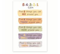 FOPURE The 5-4-3-2-1 Rule for Coping Poster - Grounding Technique for Emotional Regulation, Educational Print for School, Dorm, Calm Corner(Framed,16x24inch(40x60cm))