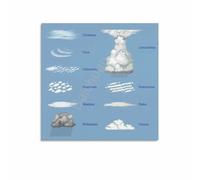 FOPURE The Cloud Atlas Poster Different Cloud Types Canvas Print Modern Wall-Art for Office Home Science Decor(Unframed,16x24inch(40x60cm))