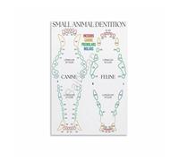 FOPURE The Pet 's Reference: Dog & Cat Teeth Chart Poster - Unframed Canvas Print for Animal Specialist, Mobile Clinic(Unframed,12x18inch(30x45cm))