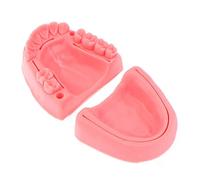 Fopytu 2 Pcs Modelo De Práctica De Sutura Dental, Módulo De Enseñanza De Sutura Oral, Silicona Blanda Múltiples Tipos De Heridas Gingival Suture Entrenamiento