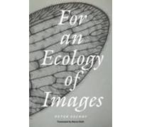 For An Ecology Of Images
