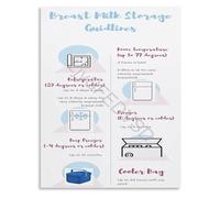 For New Pumping Moms A Truly Ultimate Educational Gift Professional Lactation Reference and Storage Chart(Framed,16x24inch(40x60cm))