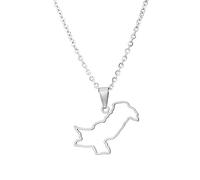 For Pakistan Map Flag Pendant Necklace,World Map Ethnic Flag Symbol Necklace for Men Women,Stainless Steel Clavicle Chain,Patriotic Ethnic Jewelry,Adjustable Chain Accessories Gifts (Model 6)
