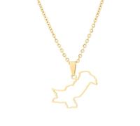 For Pakistan Map Flag Pendant Necklace,World Map Ethnic Flag Symbol Necklace for Men Women,Stainless Steel Clavicle Chain,Patriotic Ethnic Jewelry,Adjustable Chain Accessories Gifts (Model 4)