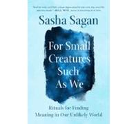 For Small Creatures Such As We (ebook)