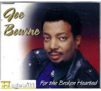 For The Broken Hearted (incl. Karaoke Vers.)