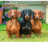 For the Love of Dachshunds 2027 14 X 24 Inch (Hanging) Monthly Deluxe Wall Calendar Foil Stamped Cover Plastic-Free