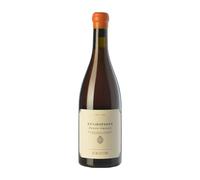Foradori Fuoripista Pinot Grigio Pinot Gris Vigneti delle Dolomiti 75 cl Vino blanco