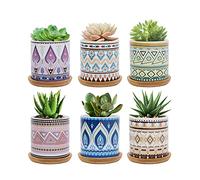FORAGIFT Maceta suculenta de 7,5 cm, maceta de cerámica con patrón colorido para plantas de cactus, macetas pequeñas para plantas de interior y exterior con bandeja de bambú, e ideal para decoración