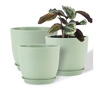 FORAGIFT Macetas 25/23/20 cm para Interior y Exterior, Pack de 3 con Diseño Verde, Bandeja y Agujeros de Drenaje - Maceteros de Plástico Decorativos para Plantas Grandes (Monstera, Suculentas)