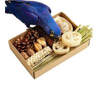 Foraging Chewing Shredding Enrichment Box | Bird Foraging Box | Bird Toy