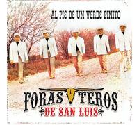 Forasteros de San Luis - Al Pie De Un Verde Pinito