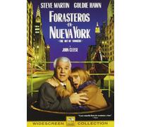 Forasteros en Nueva York [DVD]