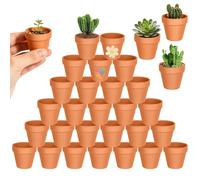 Forbabe 30 ollas de barro pequeñas, 4,5 x 4,5 cm, reutilizables, terracota pequeña