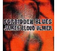 Forbidden Blues by James Blood Ulmer