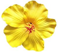 Forcina per Capelli, spilla per Fiori, fermaglio per Capelli Rosa, accessori per Donne, Ragazze, Feste, Matrimonio in spiaggia (Giallo) Durability and Attraction