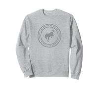 Ford Bronco One Color Badge Sudadera