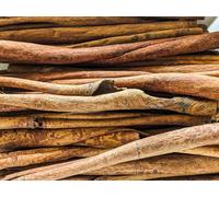 Forest Aquatics Corteza de canela para camarones de acuario, caracoles, Plecos, paquete de 5, 20 cm