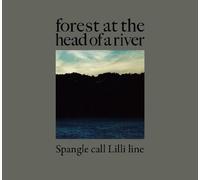 Forest at the Head of a River