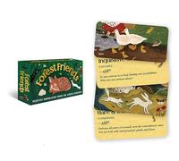 Forest Friends: Positive inspiration from the animal kingdom (Rockpool Mini Cards)