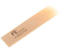 Forestone Hinoki Alto Saxophone MH