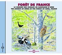 Foret De France - Le Concert Des Oiseaux En Isère - The Chorus Of Birds In The Forest Of Isere, France